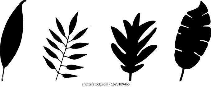 Ilustración vectorial de hoja de silueta dibujada a mano. Gran salida tropical. Un simple golpe negro. revestimiento floral de elementos gráficos aislados para su diseño, lino floral para el diseño clásico.