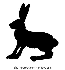 silhouette of hare