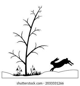 Silhouette of a hare in the spring forest.