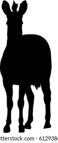 Silhouette of a hartmann's mountain zebra looking to viewer, hand drawn vector illustration isolated on white background