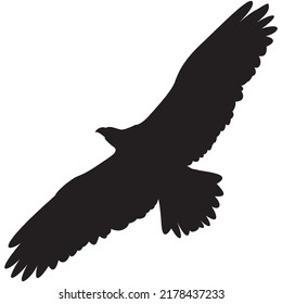 Silhouette of a hawk in flight