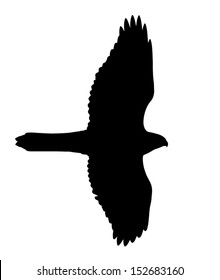 Silhouette of the Hawk (Goshawk). Can be used as Hawk (raptor) Silhouette Window Sticker to prevent birds from flying and killing themselves to the building windows. 