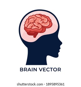 Cabeza de silueta con vector cerebral ilustración plana detallada aislada en fondo blanco