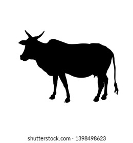 Silhouette of head indian cow. Vector illustration isolated on white background