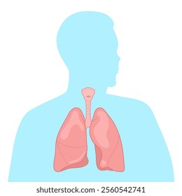 Silhouette of healthy lungs. Non-smoker's lungs. Vector illustration.