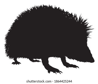 silhouette of a hedgehog animal vector illustration