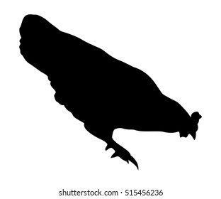 Silhouette of Hen