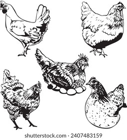 Silhouette of hen with any angle. Suitable for logo, sticker merchandise, etc. Freehand sketch illustration set hen doodle stock images. Hen vector icon. Standing hen with eggs isolated background.