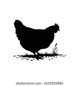 Silhouette: Hen Pecking Ground for Grains - Farm Foraging