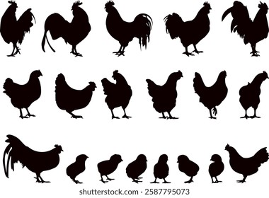 silhouette hen, rooster, chick collection on white background, vector