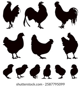 silhouette hen, rooster, chick collection on white background, vector