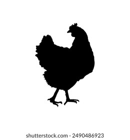 silueta de una gallina - Ilustración vectorial