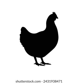Silhouette of a hen vector isolated on white background.