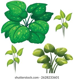 silhueta de uma planta de ervas