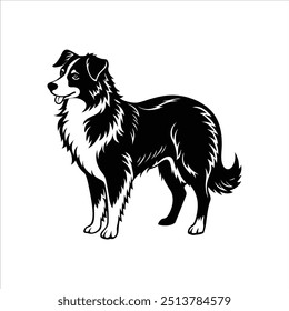 Silhueta de pastoreio Australian shepherd vetor clipart design
