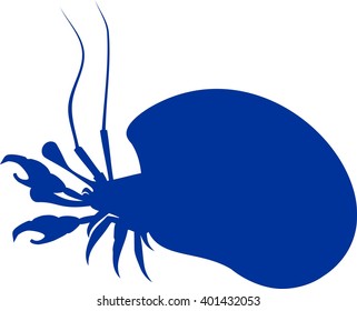 silhouette of hermit crab