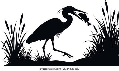 silhouette of heron catching fish in marshy wetland with cattails