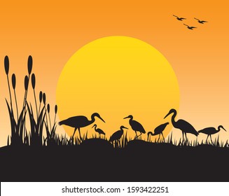 silhouette heron in field vector design