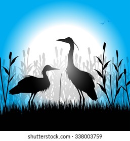 silhouette of herons in the marsh