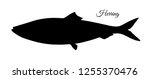 Silhouette of herring. Hand drawn vector illustration of fish isolated on white background.