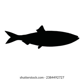 Silhouette de arenque. Ilustración vectorial dibujada a mano de peces aislados en fondo blanco.