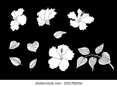 silhouette Hibiscus flower vector set
