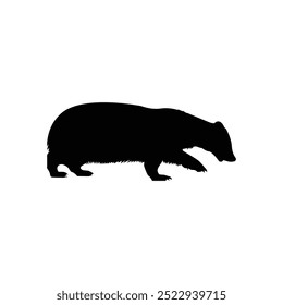 Silhouette of a honey badger standing sideways, isolated on white background.