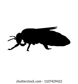 silhouette honey bee side icon