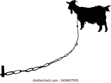 Silhouette of horned goat. Badge.