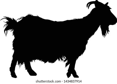 Silhouette of horned goat. Badge.