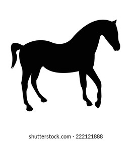 Silhouette of a horse