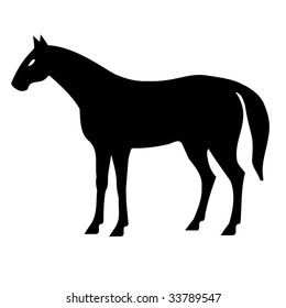 silhouette of horse