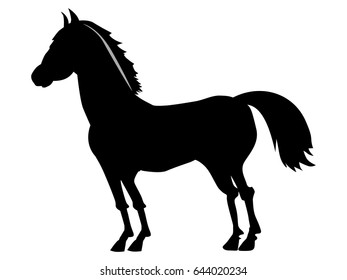 silhouette of horse