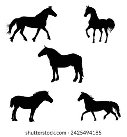 Silhouette horse collection - vector illustration