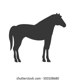 silhouette with horse domestic animal