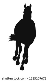 A silhouette of a horse full face.