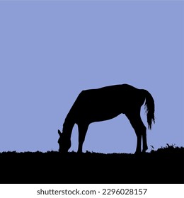 Silhouette of a horse grazing in the grass.