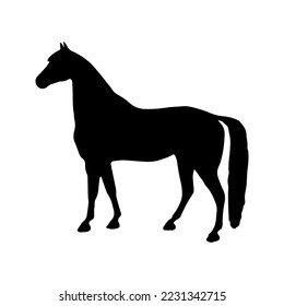 silhouette of horse icon black and white