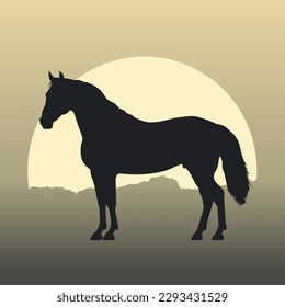 Silhouette horse, landscape, vector illustration, sunset