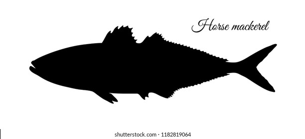 Silhouette of horse mackerel. Hand drawn vector illustration of fish isolated on white background.