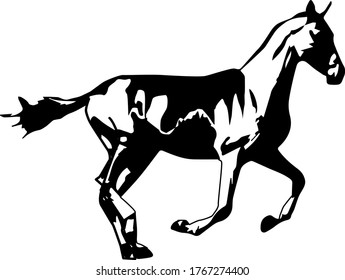 The silhouette of a horse in motion on white background. Avatar icon.
