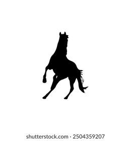 The silhouette of a horse in motion is very beautiful and charming