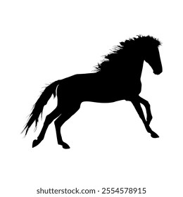 The silhouette of a horse in motion is very beautiful and charming