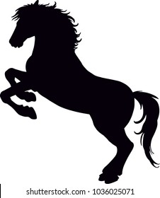 Silhouette horse on white background