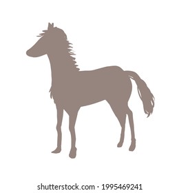 Silhouette of horse. On a white background.