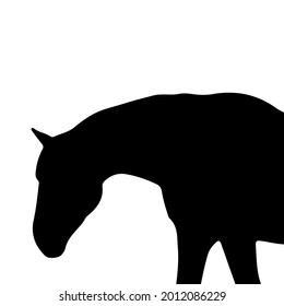silhouette horse on white background. vector illustration