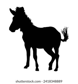 silhouette of a horse on white background