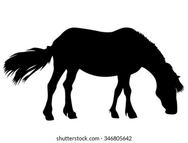 Silhouette of a horse on a white background