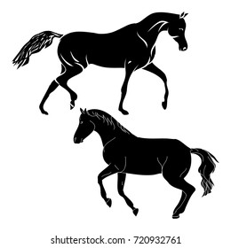 Silhouette horse on white background, vector illustration