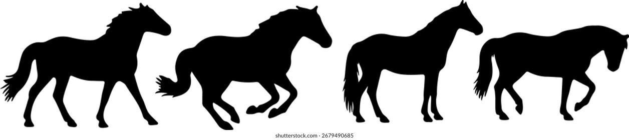 silhueta cavalo postura preto forma mono tom cor no fundo branco